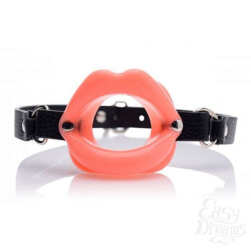  1:      Sissy Mouth Gag