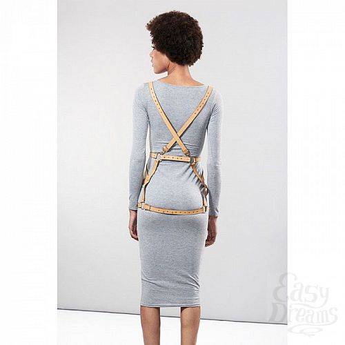  2    ARROW DRESS HARNESS