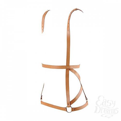  3    ARROW DRESS HARNESS