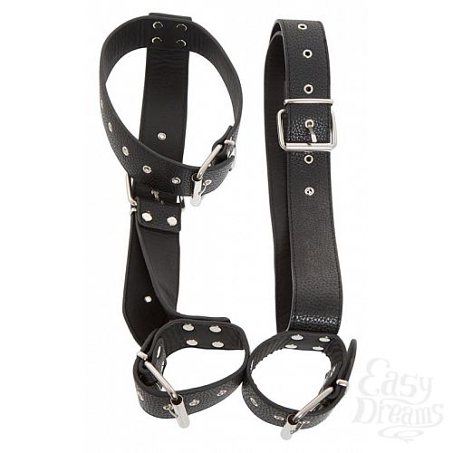  4       Bad Kitty Neck and Hand Restraints