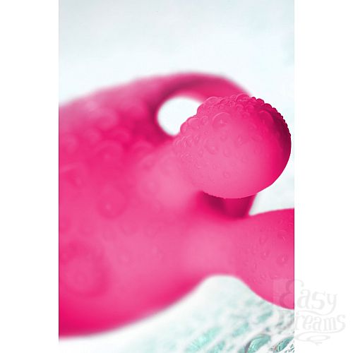  14    VITA:      