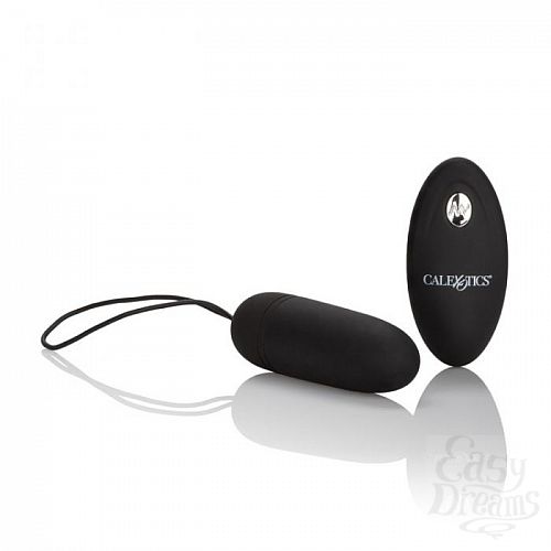  3  ׸  Silicone Remote Bullet   