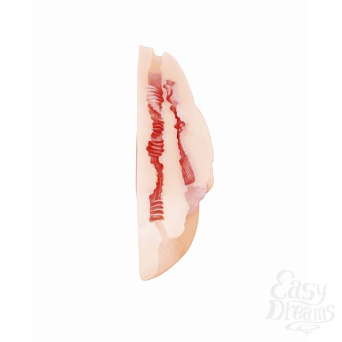  4   Satisfaction Daisy 2101-09Lola