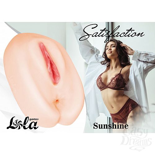  1:  - Satisfaction Sunshine