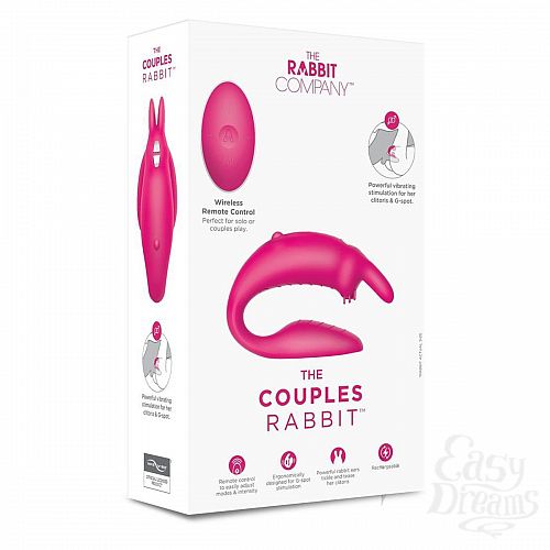  3      The Couples Rabbit