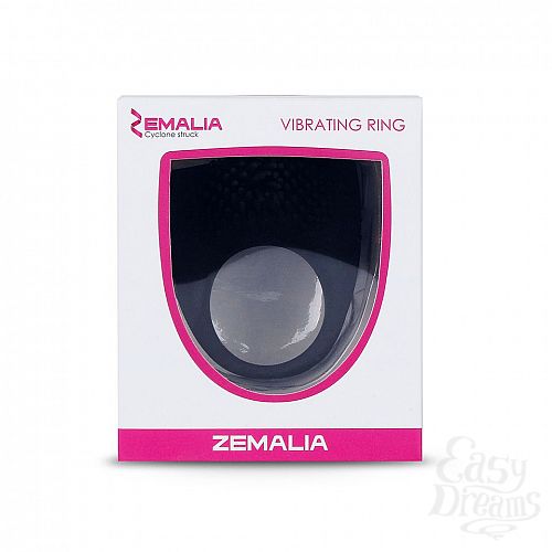  2  ׸   Zemalia Armour