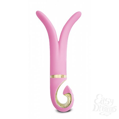  1:  NEW!   Gvibe 3, 24  