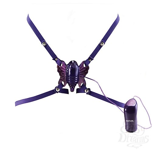  2      WING FLING H25512-10001