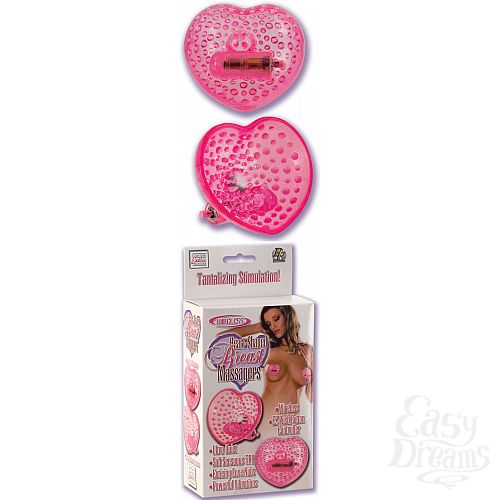 ���������� 1:  ��������������-�������� *��������*