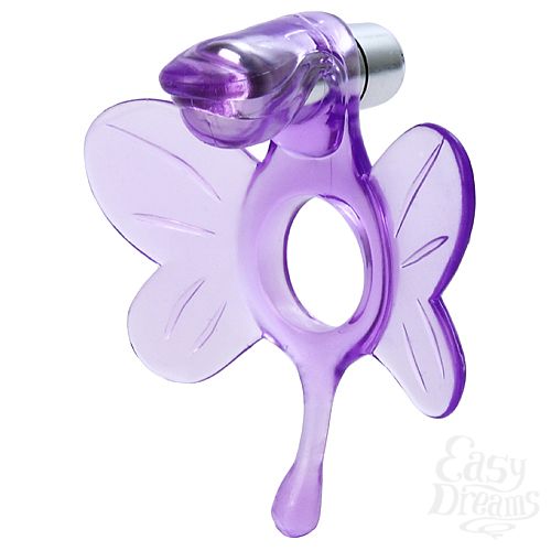  2       EN-AN-1494-2