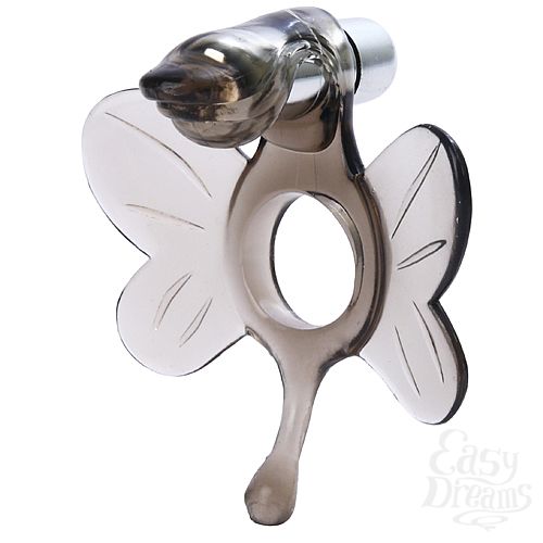  2       EN-AN-2293-2 