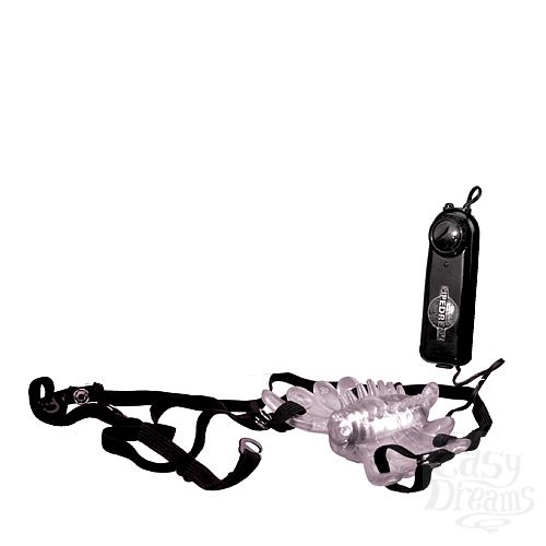  2   - CLASSIX PD1906-00