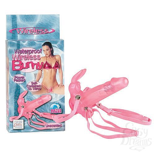  1:        BUNNY 0574-04 BX SE