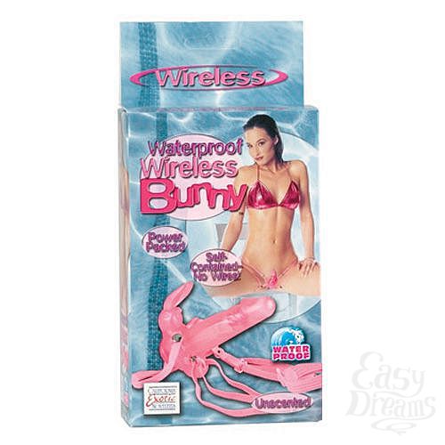  3        BUNNY 0574-04 BX SE