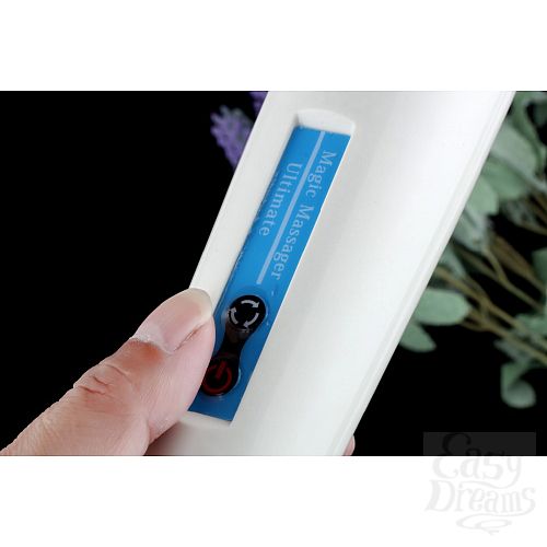  3  Hitachi Magic Wand - 30 , . 