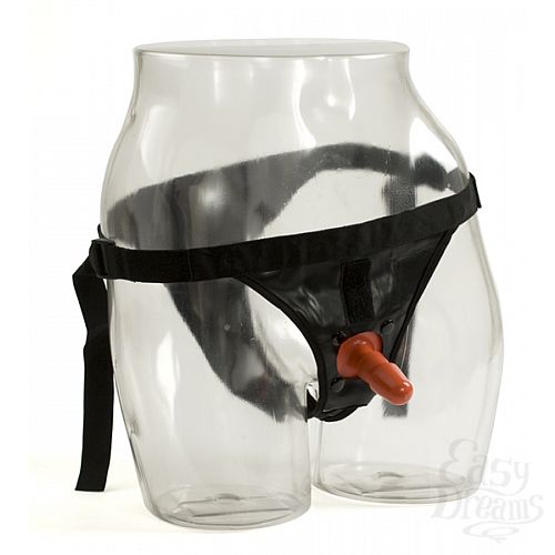 Фотография 1:  Трусики со штырьком для насадок Harness Фотография 1:  Трусики со штырьком для насадок Harness