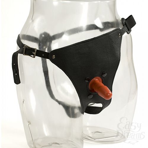  2  -     Ultra Harness