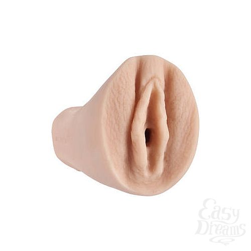  2  - VIRGIN PALM PAL