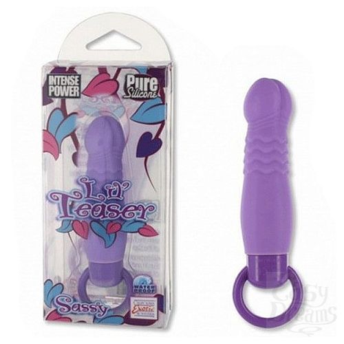  1:   LIL TEASER SASSY MASSAGER PURPLE