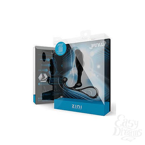  1:    ZINI JANUS ANTI-SHOCK  