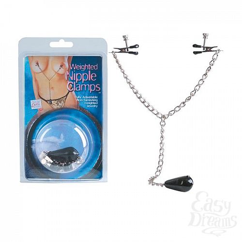  1:     WEIGHTED NIPPLE CLAMPS 2593-00CDSE