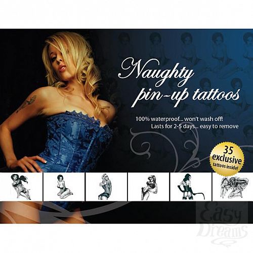  1:    Naughty Pin-Up 35  E21255
