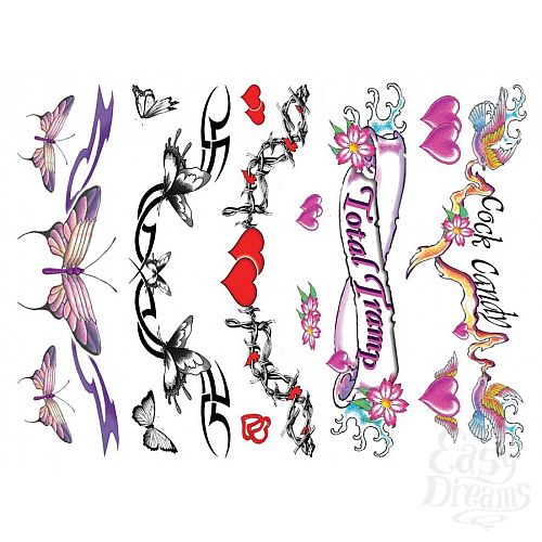  4    Sexy Lower Back 40  E21259