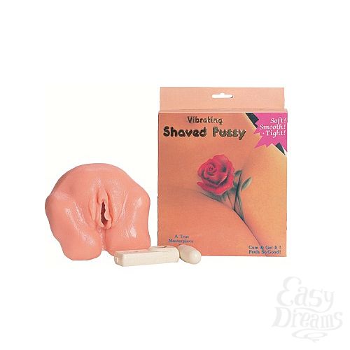  1:   Shaved Pussy ( Dream toys 50188)