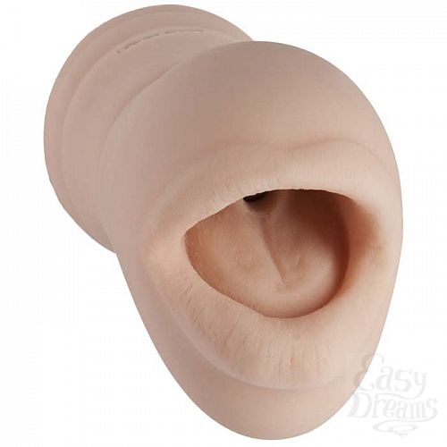  2     BELLADONNA 5075-05 BX DJ