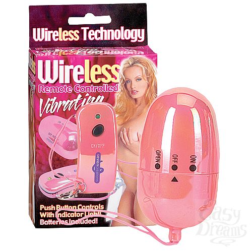  1:        ( Dream Toys 20273)