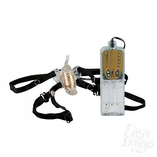  2    Impulse 0583-00BXSE