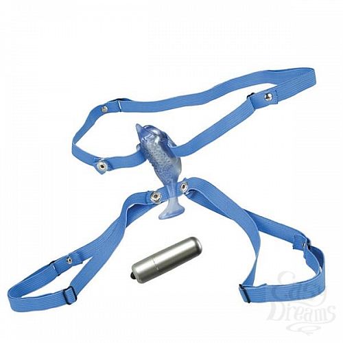  2    Resonating Micro Dolphin 0613-00BXSE