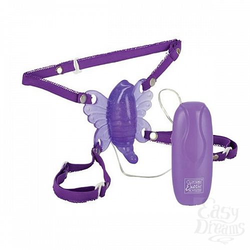  2    Venus Butterfly 2 0601-14BXSE