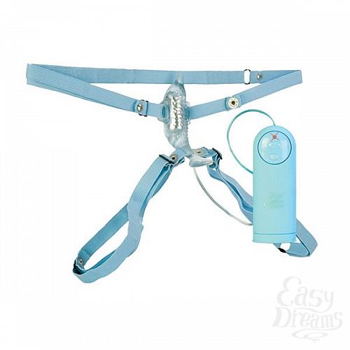  2    Wp Micro Dolphin 0613-50BXSE