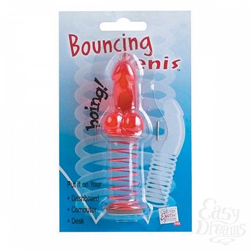  3         Bouncing Penis 2417-10CDSE