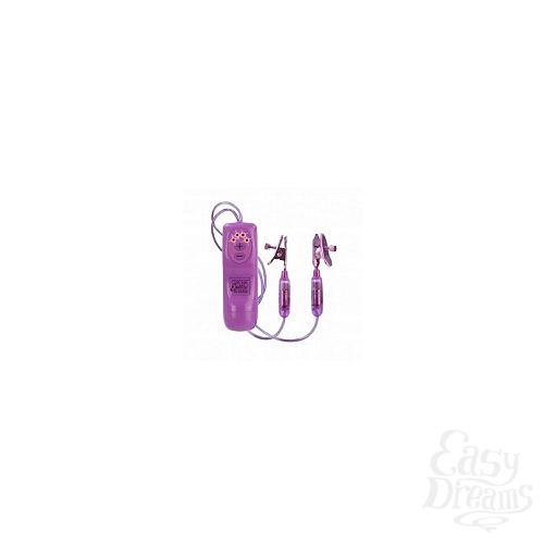  1:     PETITE VIBRATING NIPPLE TEASERS