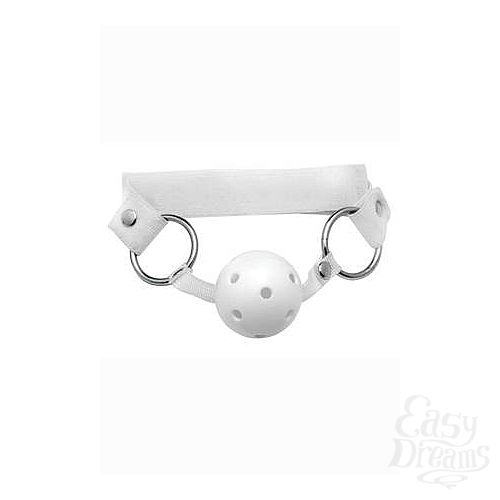  4   Asylum Patient Restraint Kit: ,   -