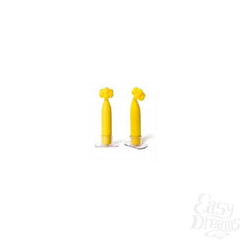 1:    Sunny Toyfriend