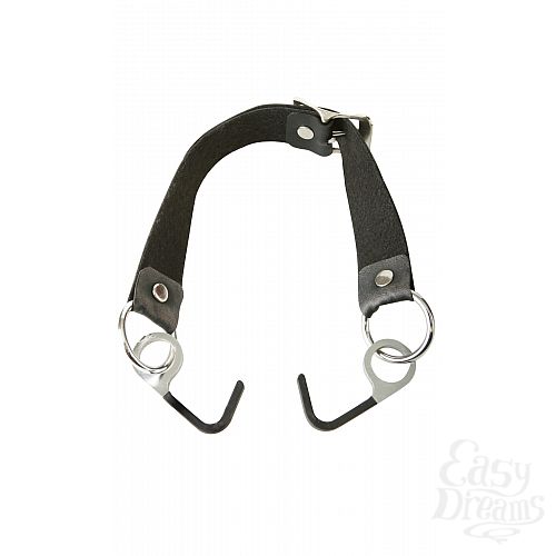  2  FFS FISH HOOK RESTRAINT 216900PD
