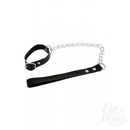  2     Willy Leashes 3300003598
