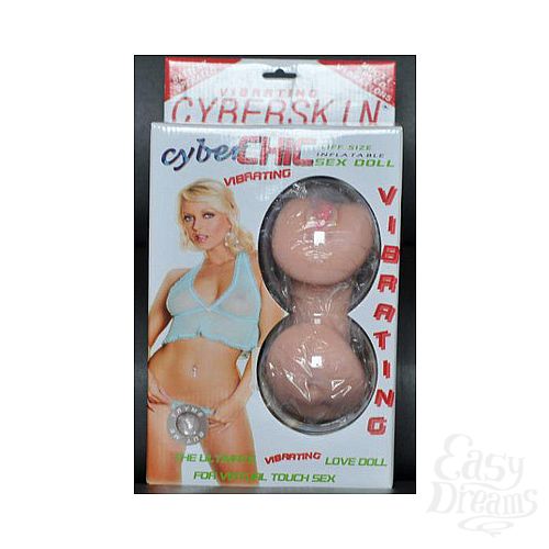  1:    CYBER CHIC     -