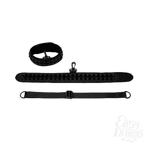  1:   Speak No Evil Choker (PicoBong), 