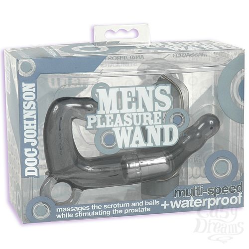  2        PLEASURE WAND