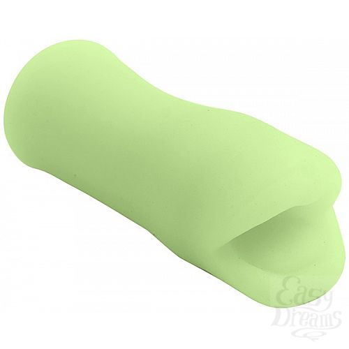  1:   - PALM PAL 