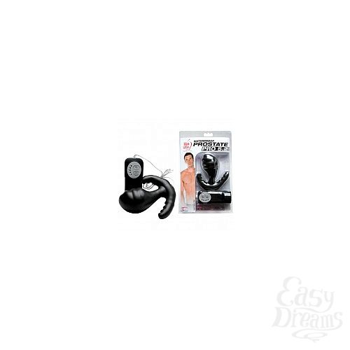  1:     PRO 5.2 1484556 CD TS