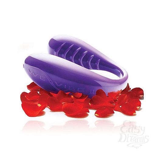  1:  We-Vibe 2 - Hi-Tech   ,     G, 