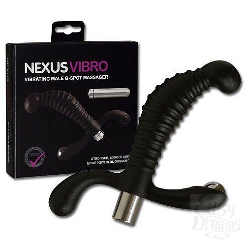  2    Nexus Vibro