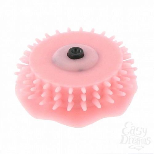  3     Sqweel - Sqweelers Tingle