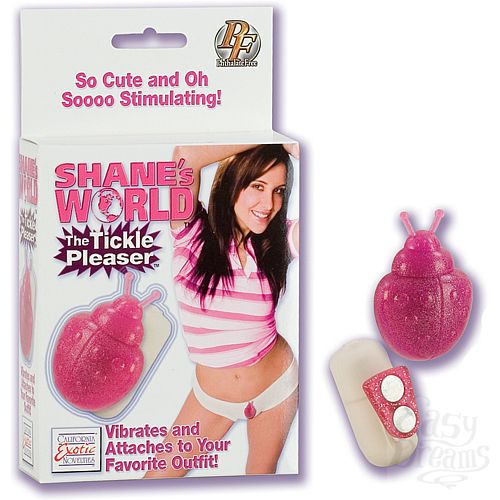  1:       0041-04 BX SE