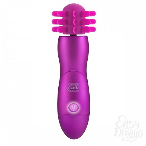  1:   BODY&SOUL CAPTIVATION PINK 2091-10BXSE
